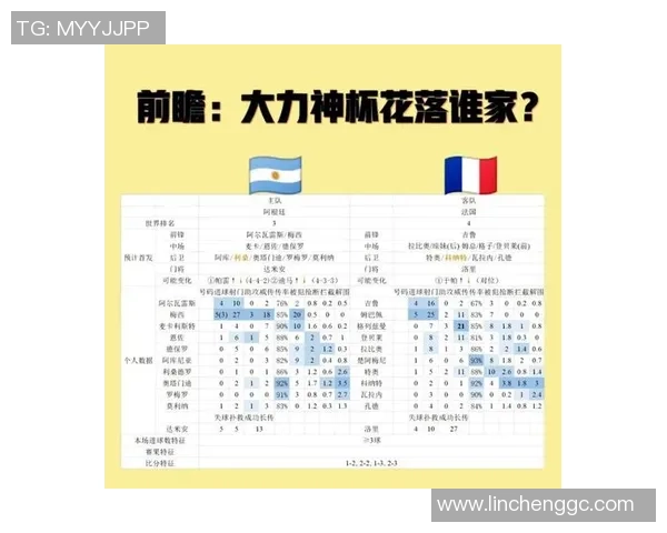 法国与阿根廷世界杯对决深度分析与战术解读